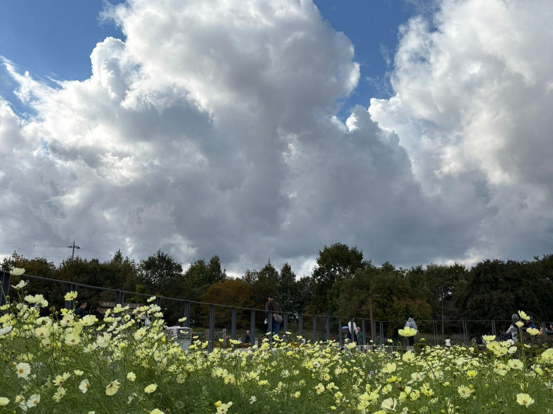 Umami-kyuryo Park-河合町必去景点