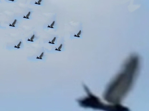 佛罗伦萨杰克逊地区温德姆戴斯套房酒店主图