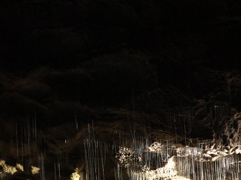 Ruakuri Cave-怀托摩洞穴必去景点