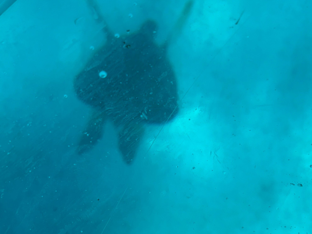 Living Dreams Mexico-普拉亚德尔卡曼必去景点