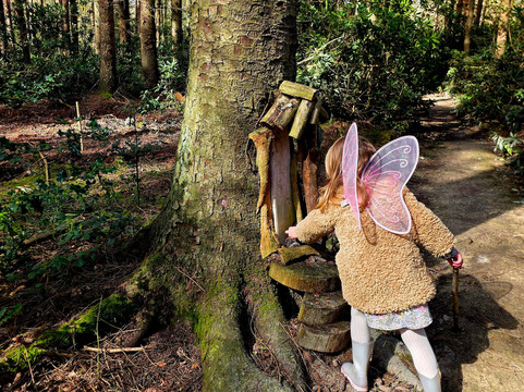 Northwood Trail Fairy Sanctuary-约克必去景点