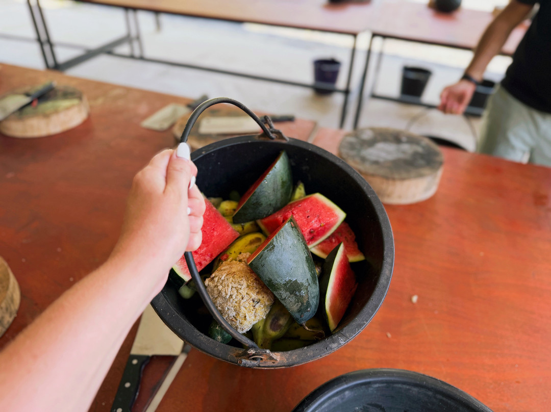 Phuket Elephant Care-奈通必去景点