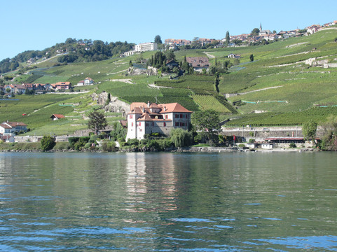 Chateau De Glerolles-St-Saphorin-Lavaux必去景点