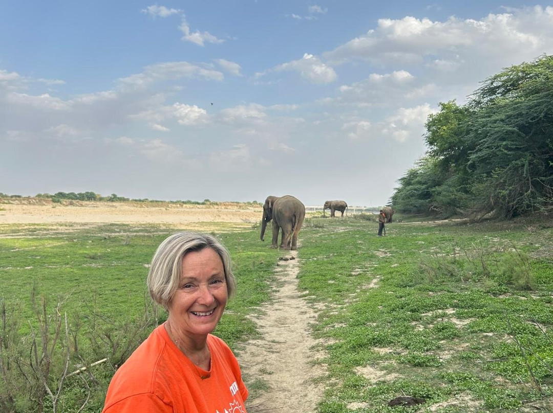 Wildlife Sos-阿格拉必去景点