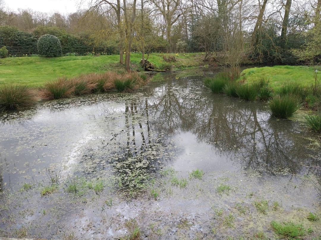 Farmhouse Kitchen, Wheatacre