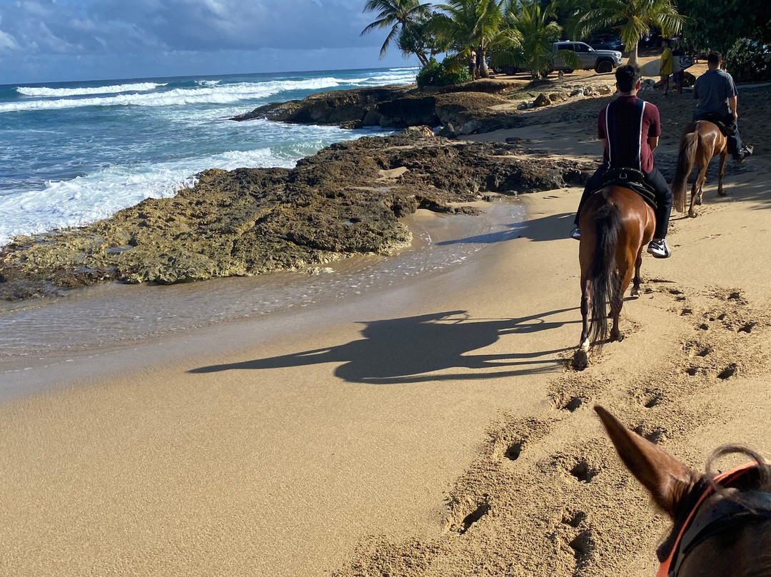 Playuelas Horse Rides-Aguadilla必去景点