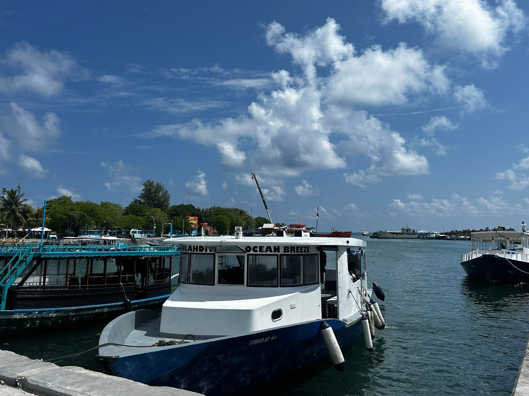 Fuvahmulah Dive School-Fuvahmulah必去景点