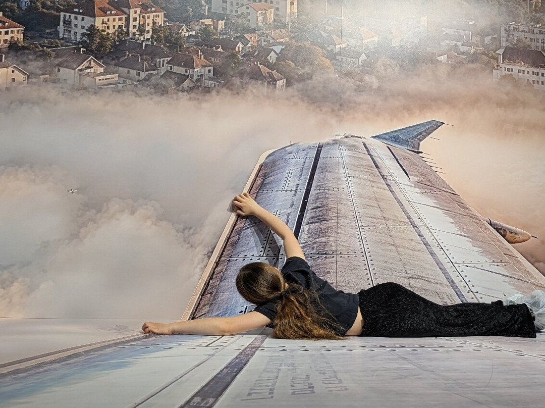 MiM - Muzeul Imaginației Maramureș-Sighetu Marmatiei必去景点