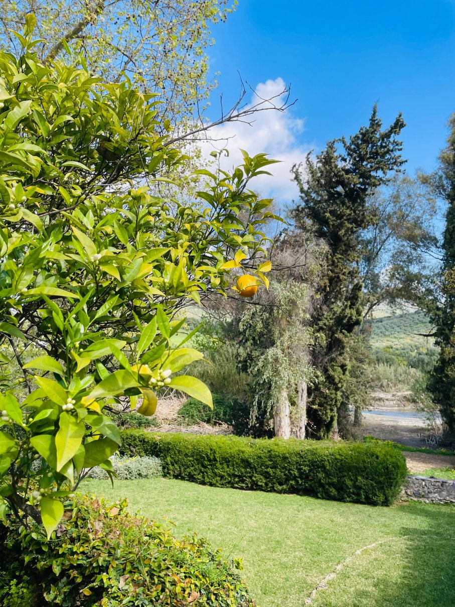 El Molino Santisteban-度假村/酒店