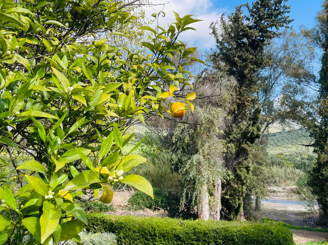 El Molino Santisteban主图