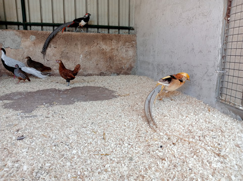 La Fattoria Dei Salari