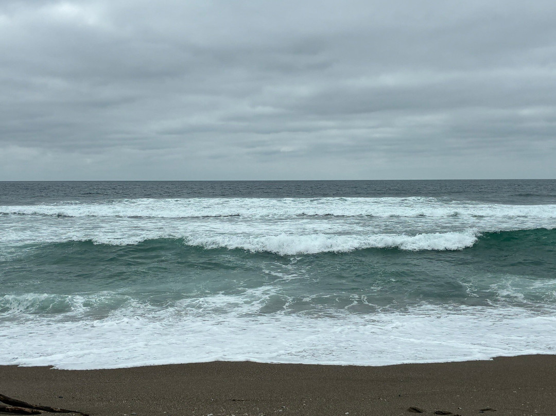 Point Reyes National Seashore-Point Reyes Station必去景点