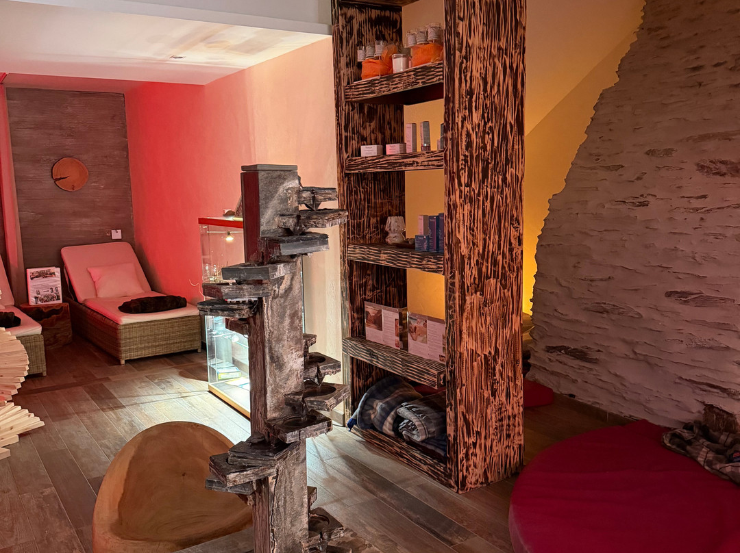 Logis Gourmet & Relax Wellness Hotel de La Sure主图