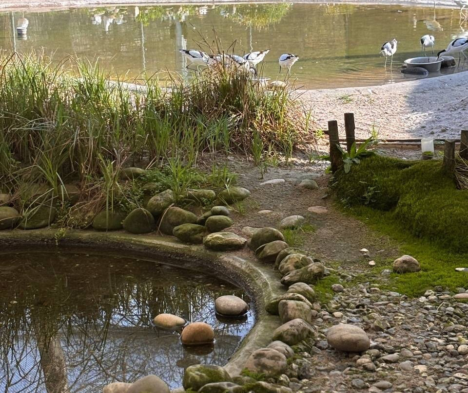 Zoo Vivarium Darmstadt-达姆施塔特行政区必去景点