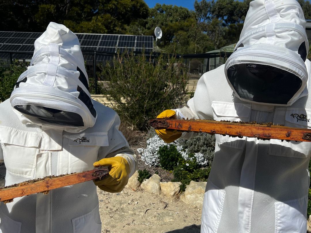 Kangaroo Island Living Honey-袋鼠岛必去景点