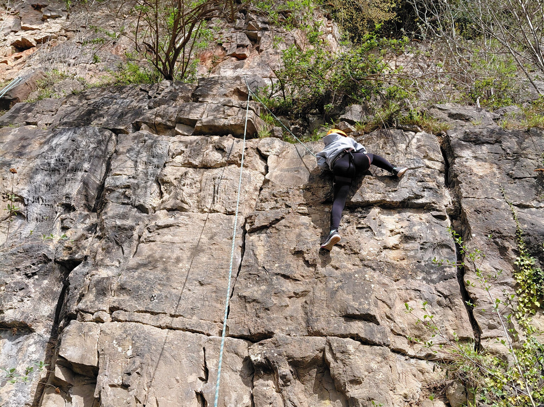 Forest Adventure Ltd-Coleford必去景点