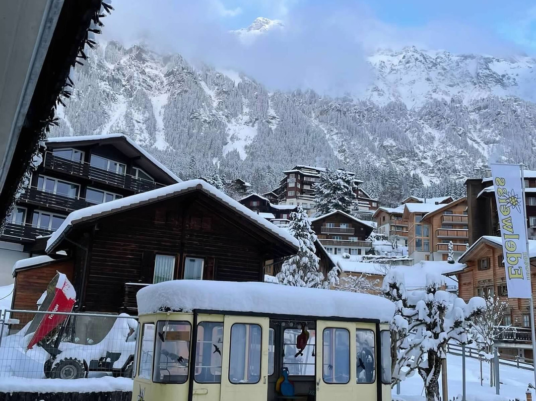 雪绒花酒店主图