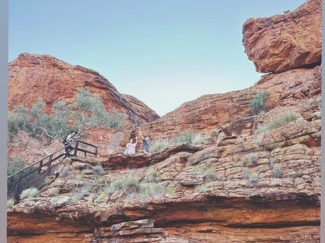 Mulgas Adventures-爱丽斯泉必去景点