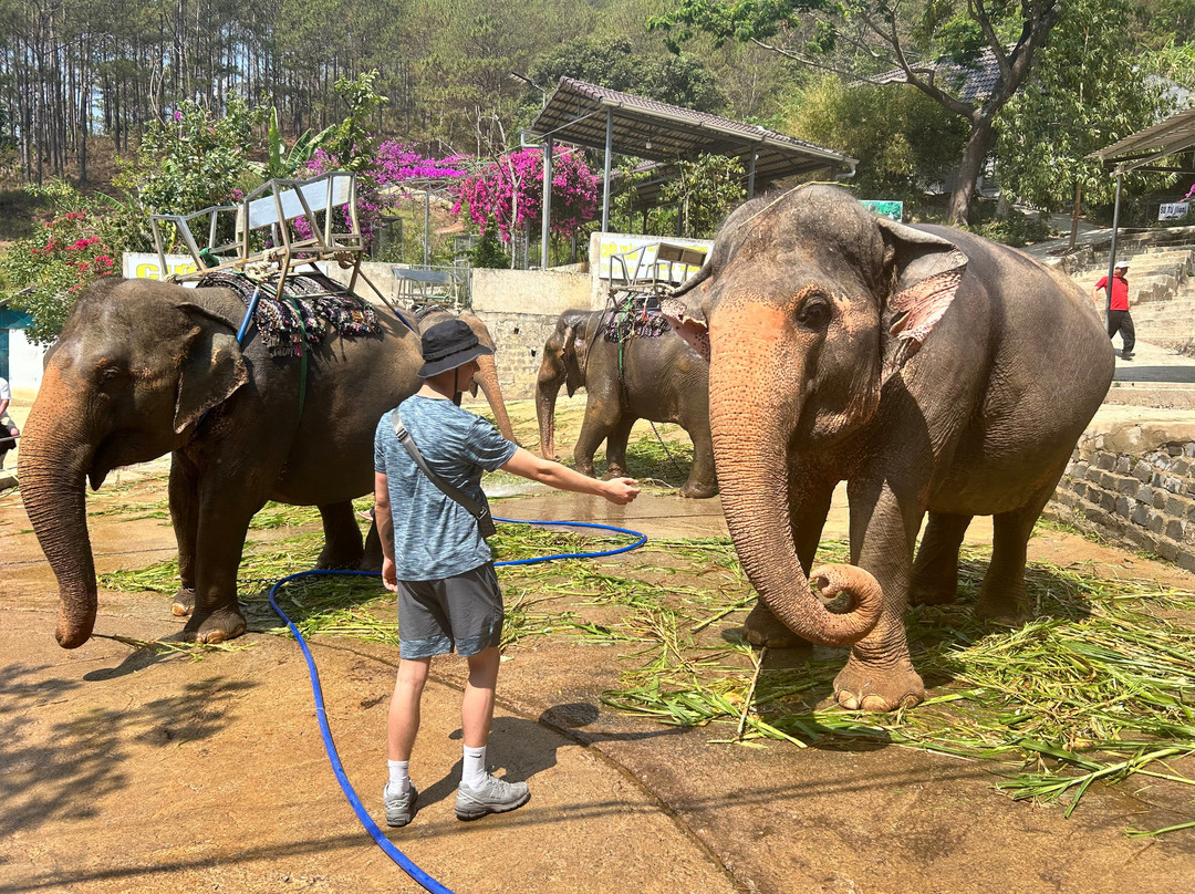 DaLat Day Tours-大勒必去景点