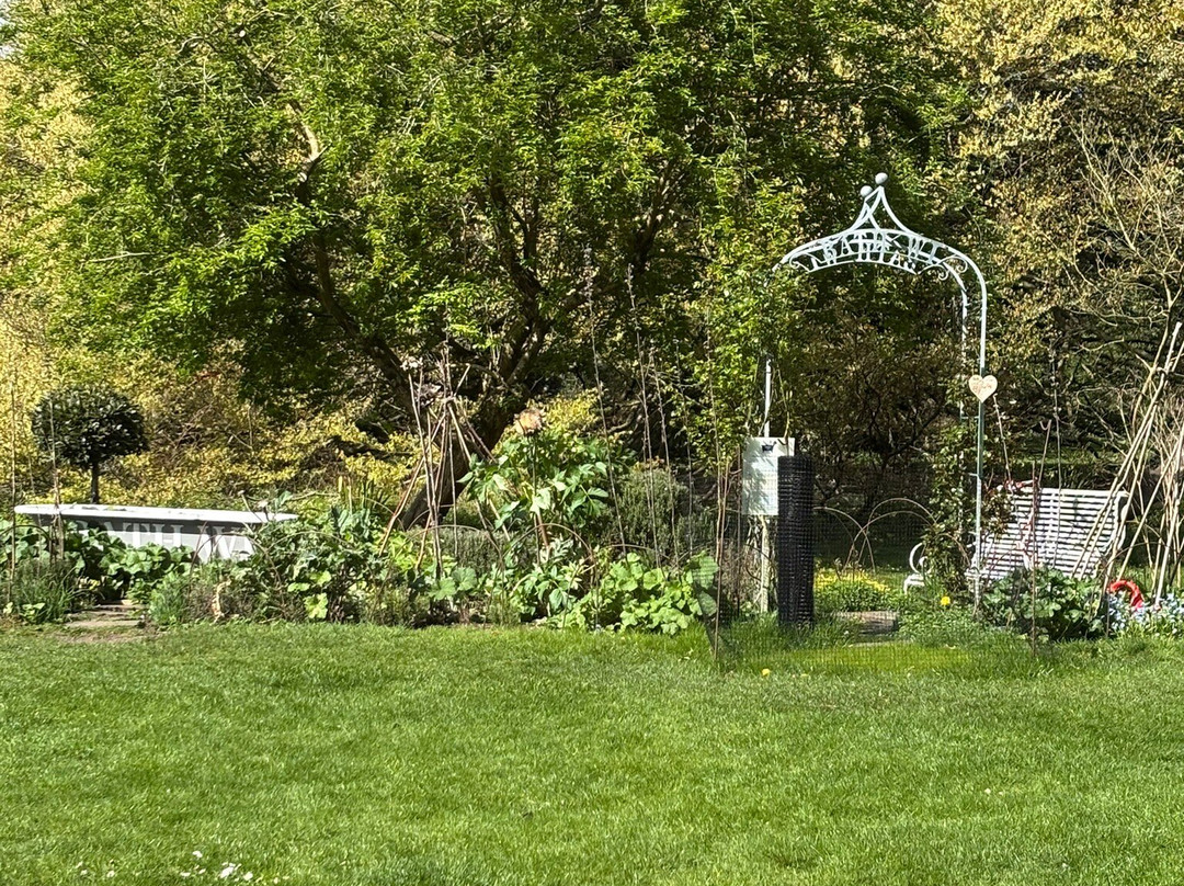 Botanical Gardens at Victoria Park-巴斯必去景点