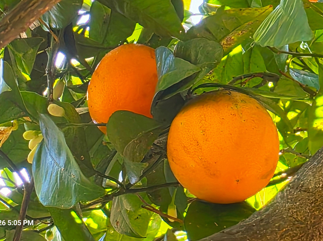 康姆比奥卡瓦洛联合国教科文组织区度假村主图