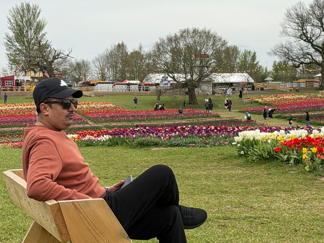 Tulleys Tulip Garden - Warwickshire-沃里克必去景点
