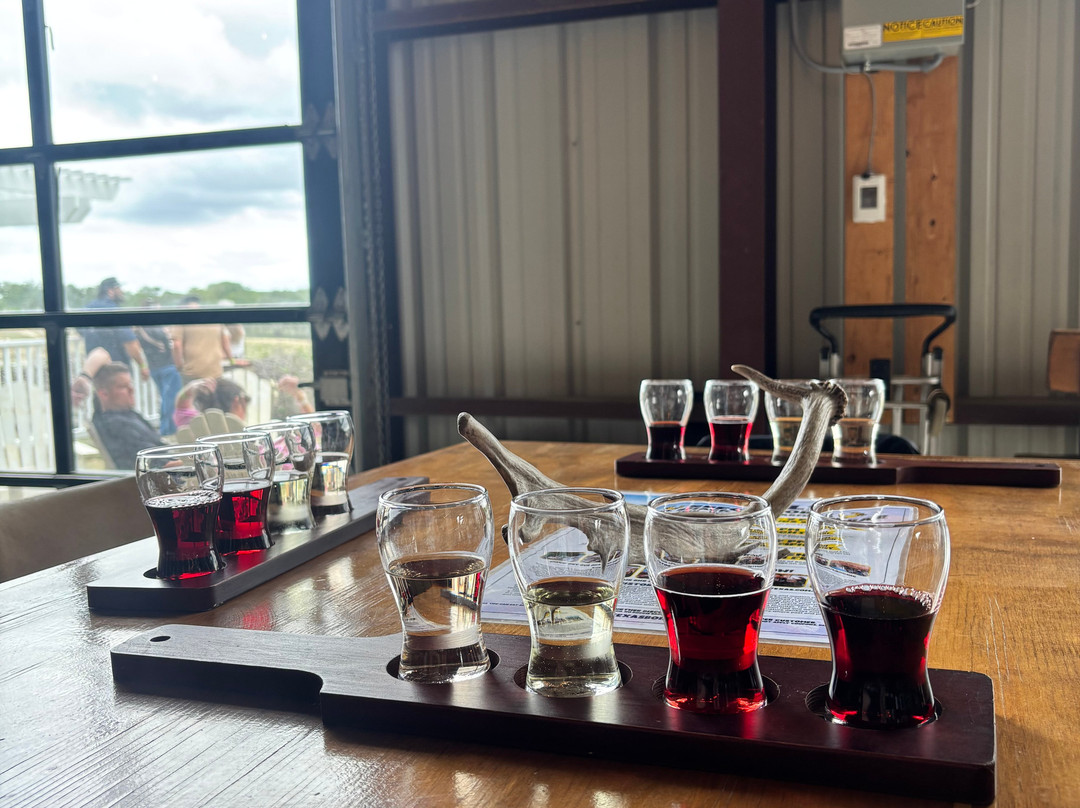 Grapetown Vineyard-弗雷德里克斯堡必去景点