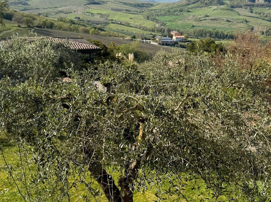 阿尔塔洛卡葡萄酒度假村主图