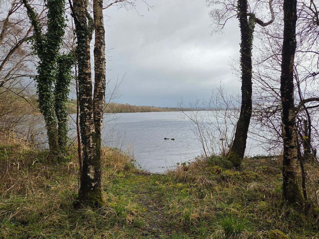 Elements Lodges主图