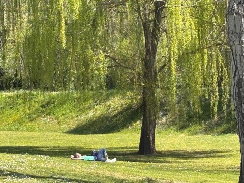 LA FORESTALE 豪华生态旅馆-旅行者
