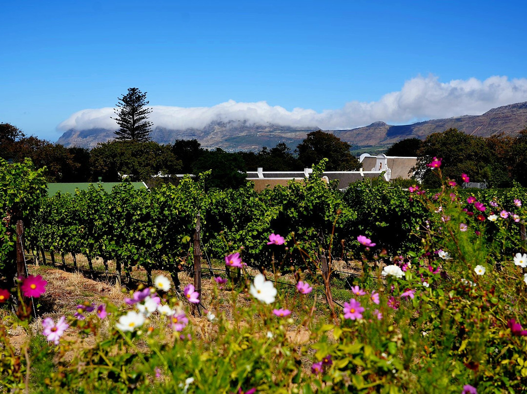 Dreamcoast Tours & Transfers-开普敦必去景点