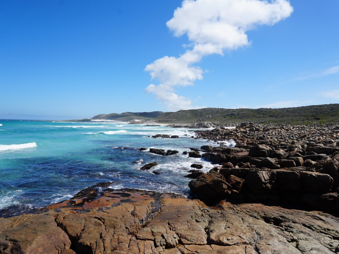 Dreamcoast Tours & Transfers-开普敦必去景点