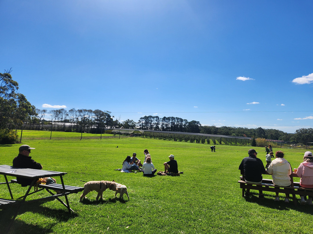 Glenbernie Orchard, home of Darkes Cider-Darkes Forest必去景点