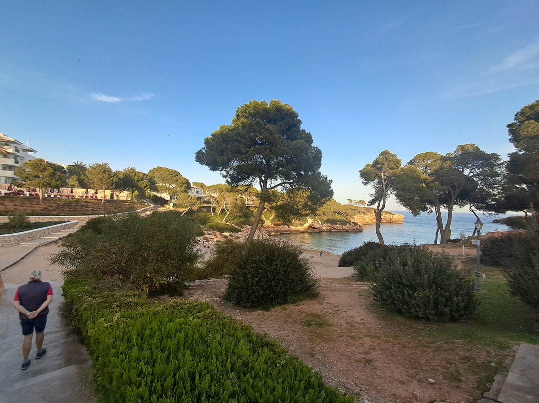 Cala Esmeralda Beach-卡拉多尔必去景点