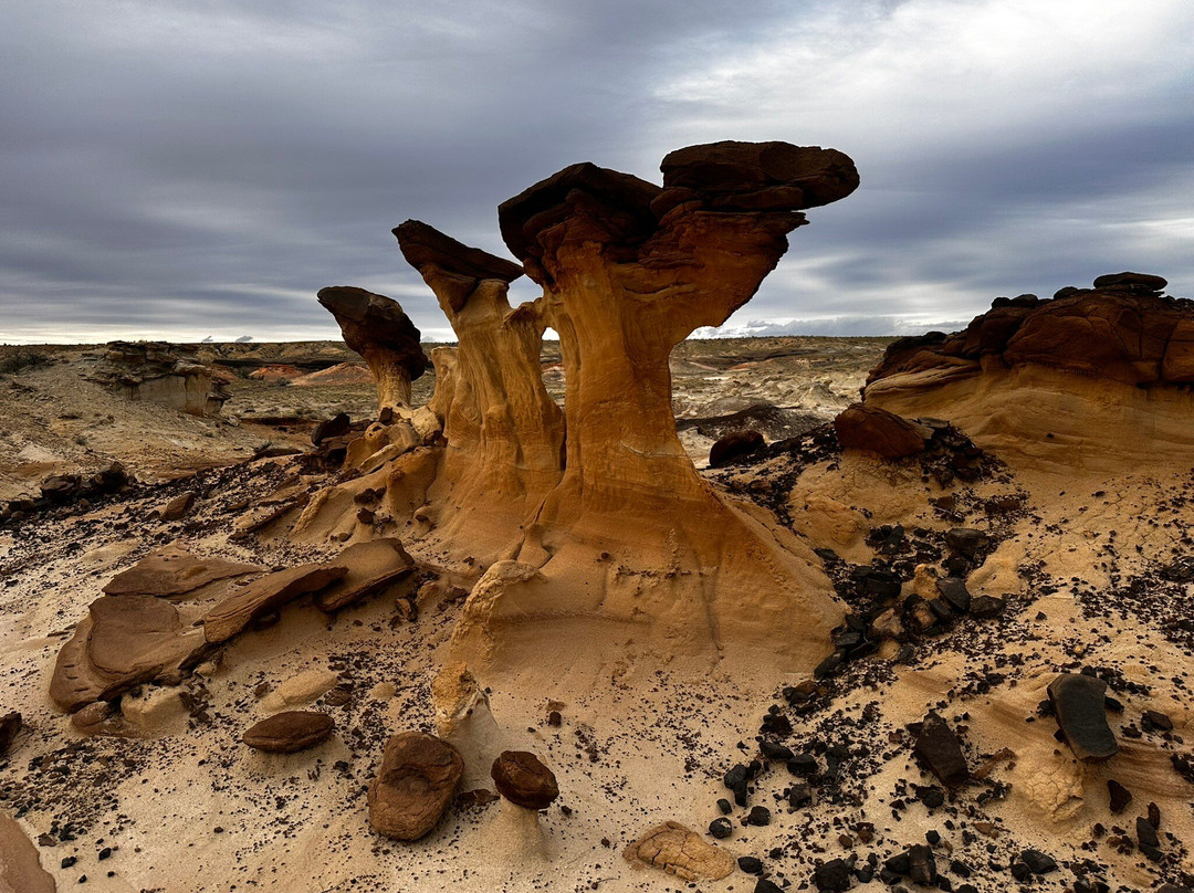 Navajo Tours USA-Nageezi必去景点