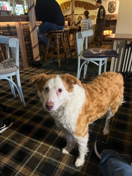 The Garden Arms Hotel-旅行者