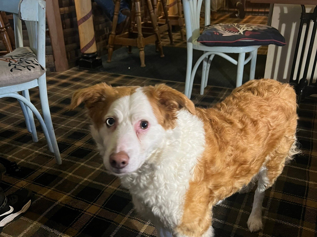 The Garden Arms Hotel主图