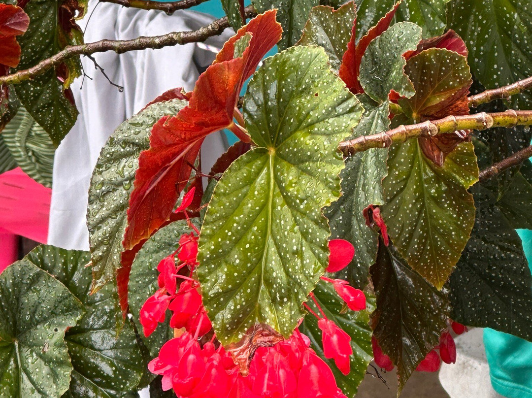 乐趣酒店-塔托盖罗主图