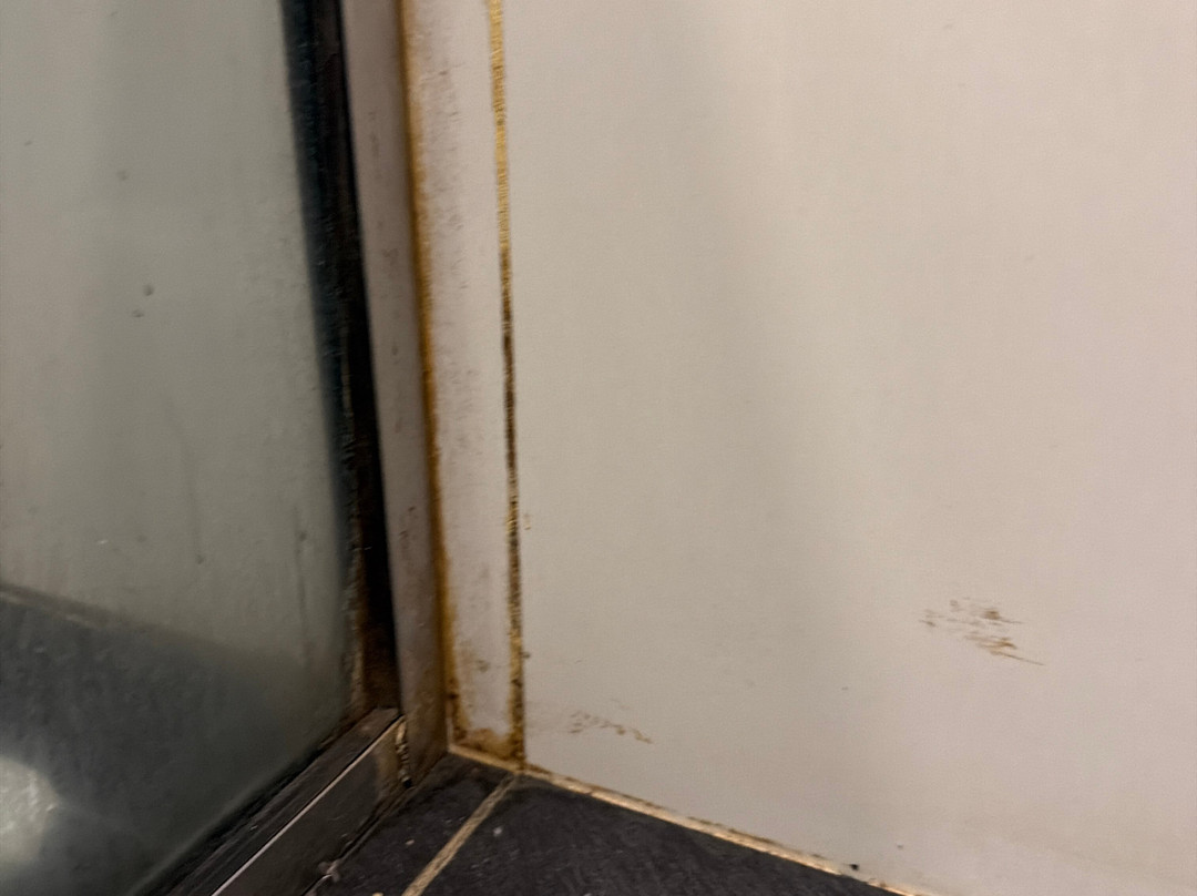 谛乐雅·卡卢特勒主图