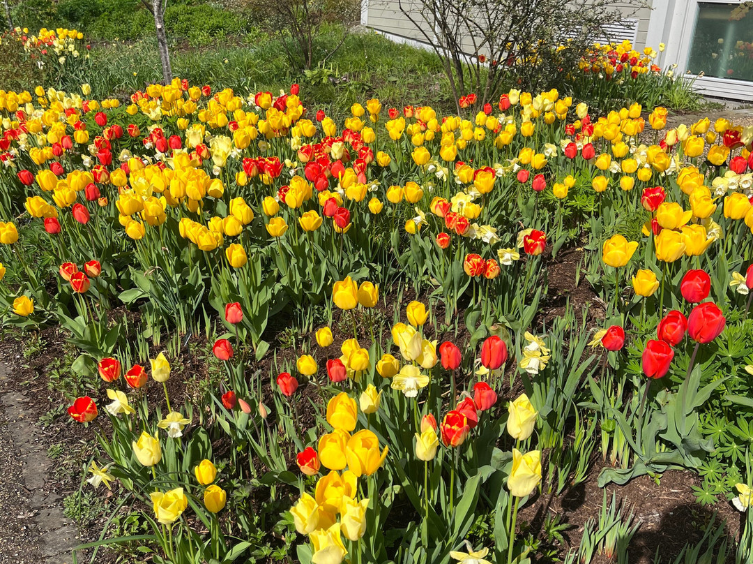 RHS Garden Harlow Carr-哈罗盖特必去景点