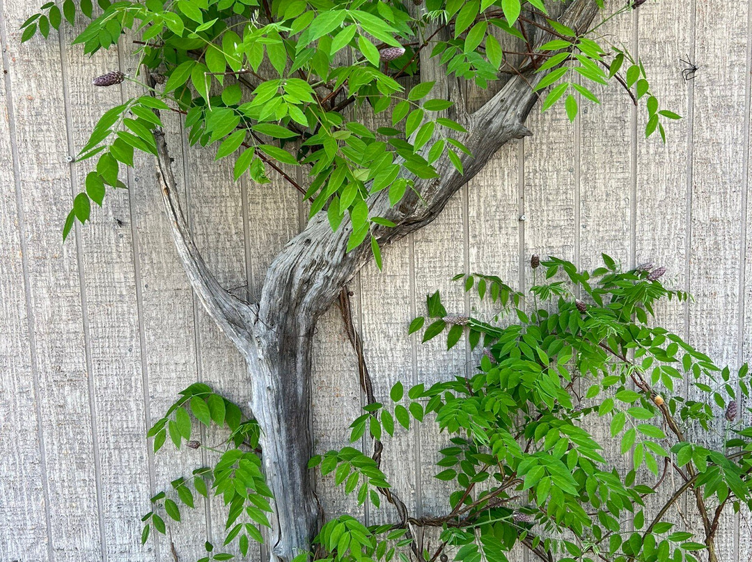 Great Smoky Arts & Crafts Community-盖林柏格必去景点