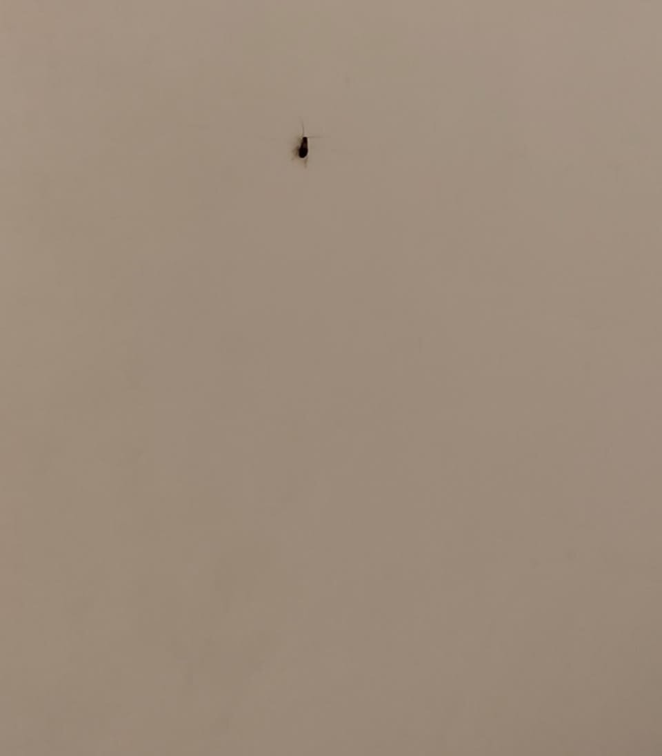 拉梅斯瓦拉马波皮维纳亚加酒店-旅行者