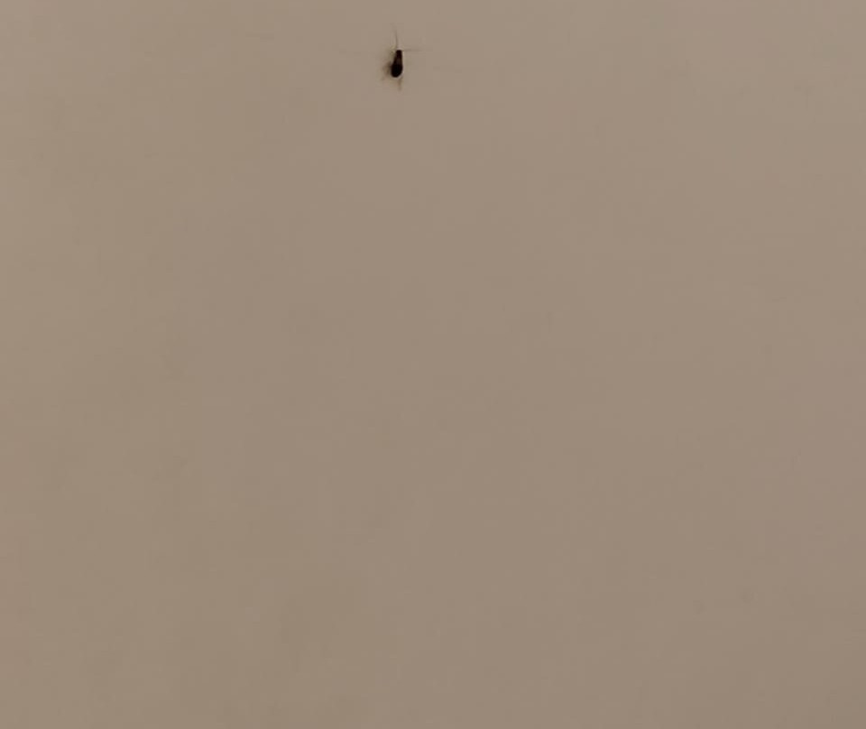 拉梅斯瓦拉马波皮维纳亚加酒店主图