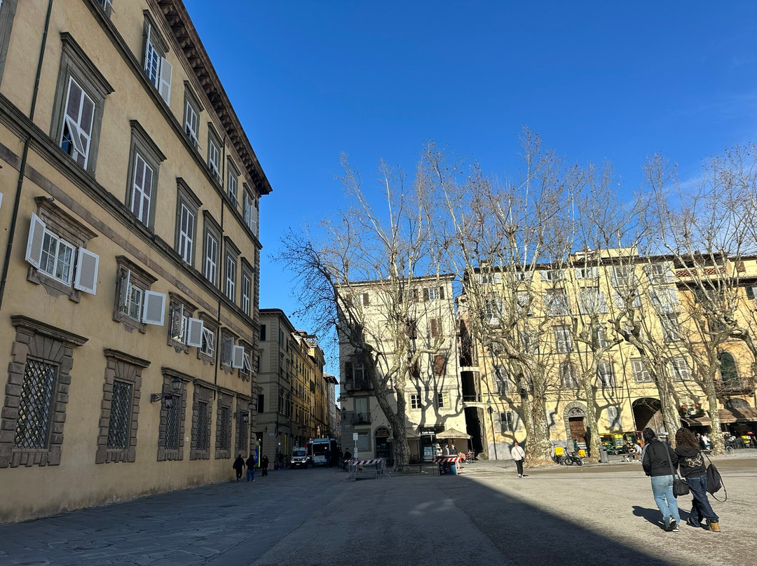 Piazza Napoleone-卢卡必去景点