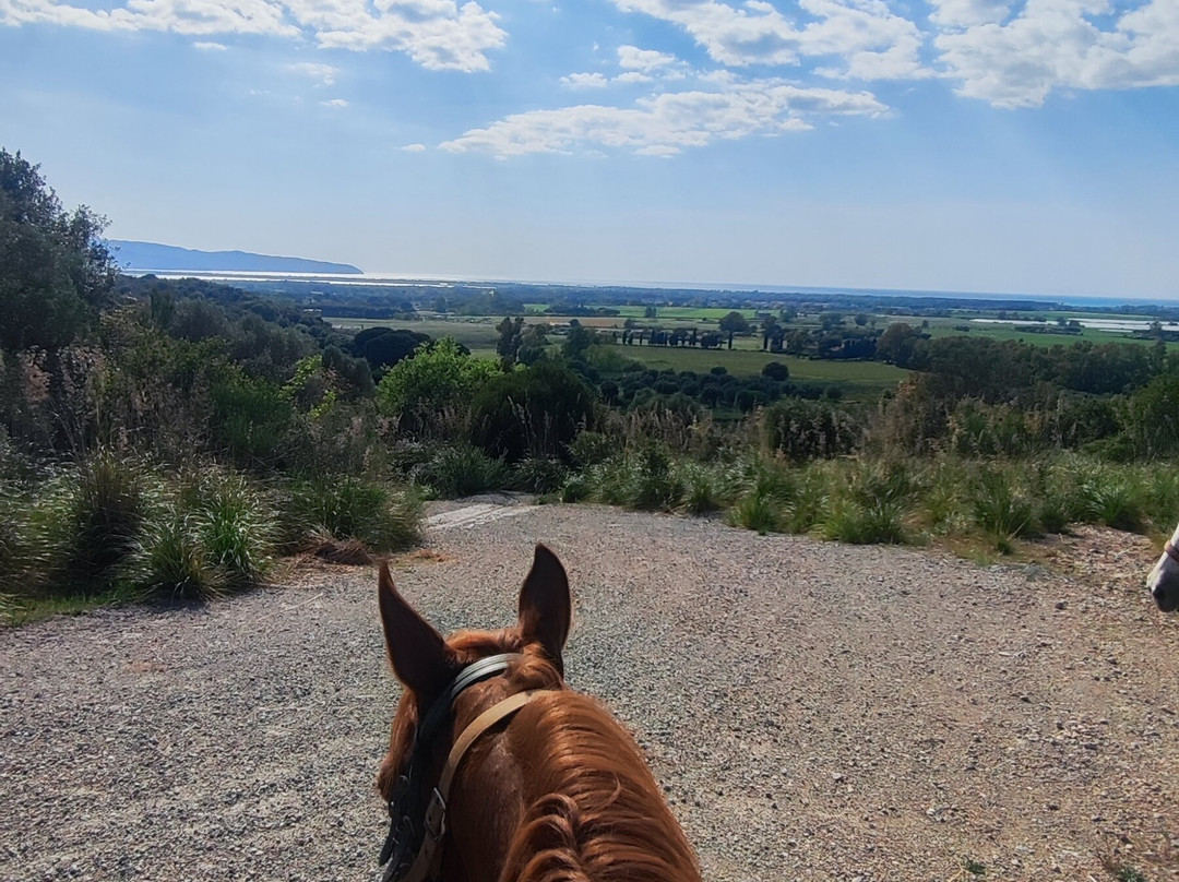 Maneggio Barbazzale-奥尔贝泰洛必去景点