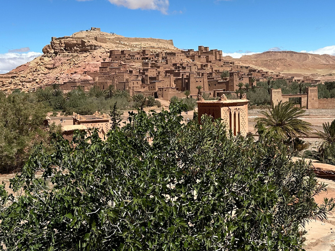 Morocco Imperial Tours - Boutique Tours-卡萨布兰卡必去景点