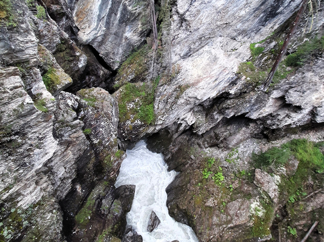Gola del Rio Plima-Martello必去景点