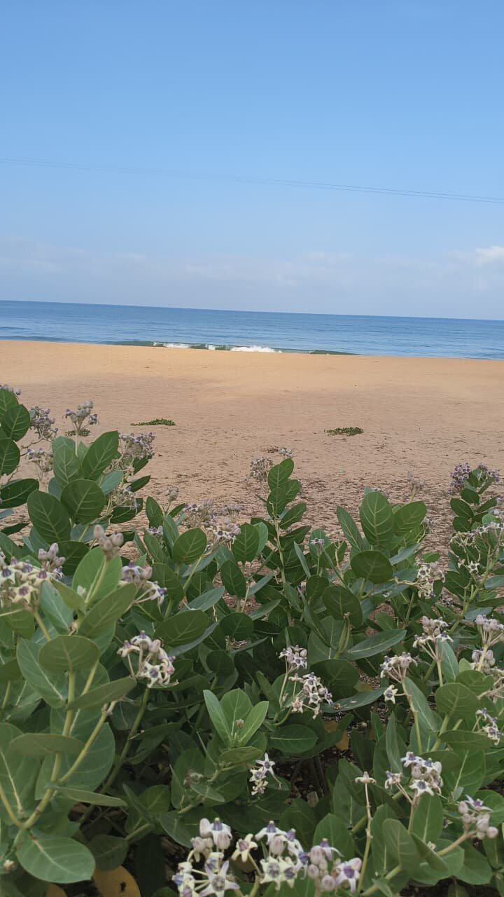 Sagar Sparsh - the Sea Touch-旅行者