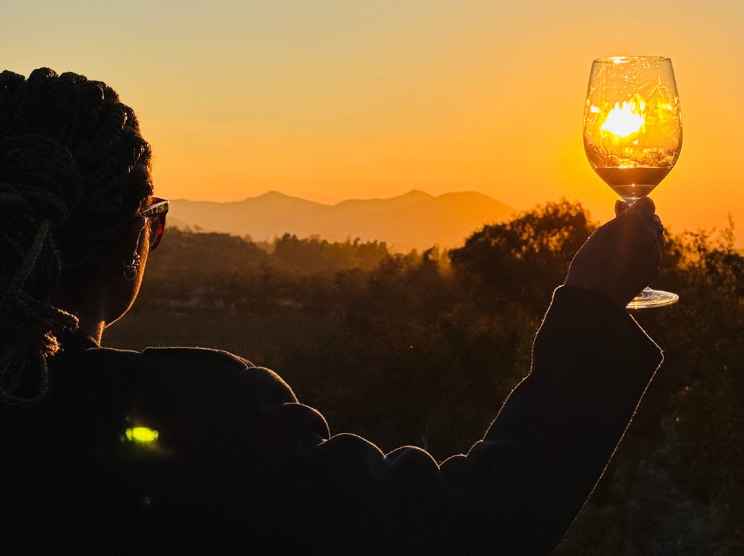 Cuatro Almas Wines-Buin必去景点
