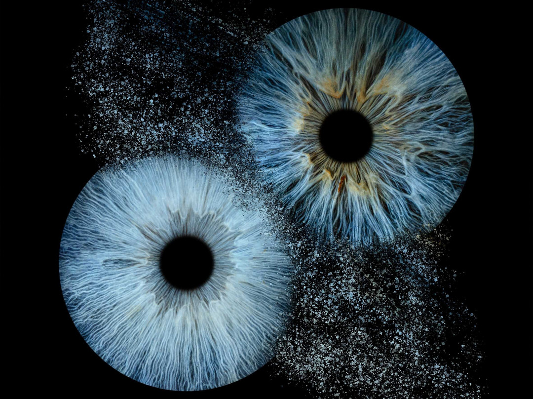 Iris Galerie Arnhem